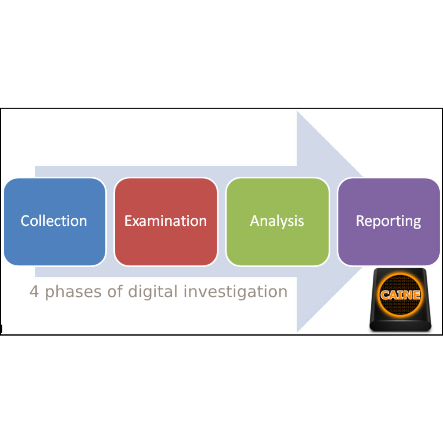 Computer Digital Forensics Bootable Live USB